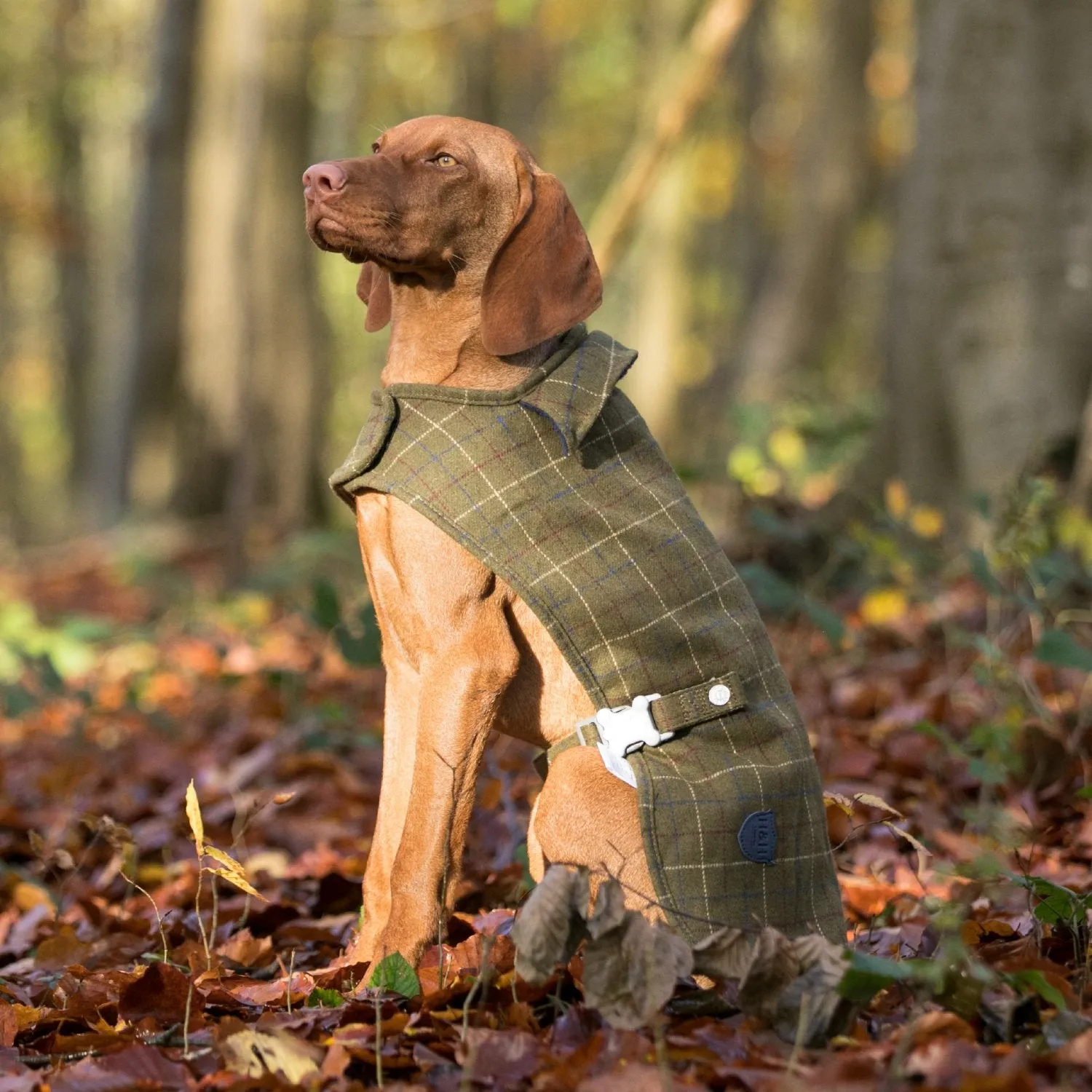 Hugo & Hudson Tweed Dog Coat
