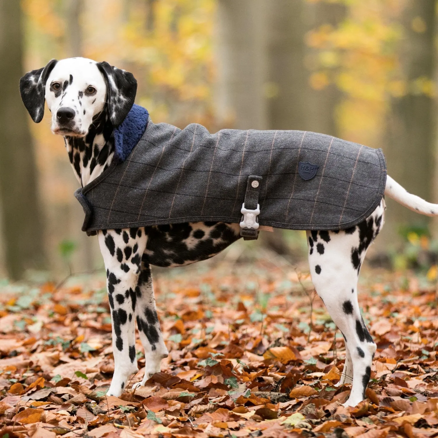 Hugo & Hudson Tweed Dog Coat